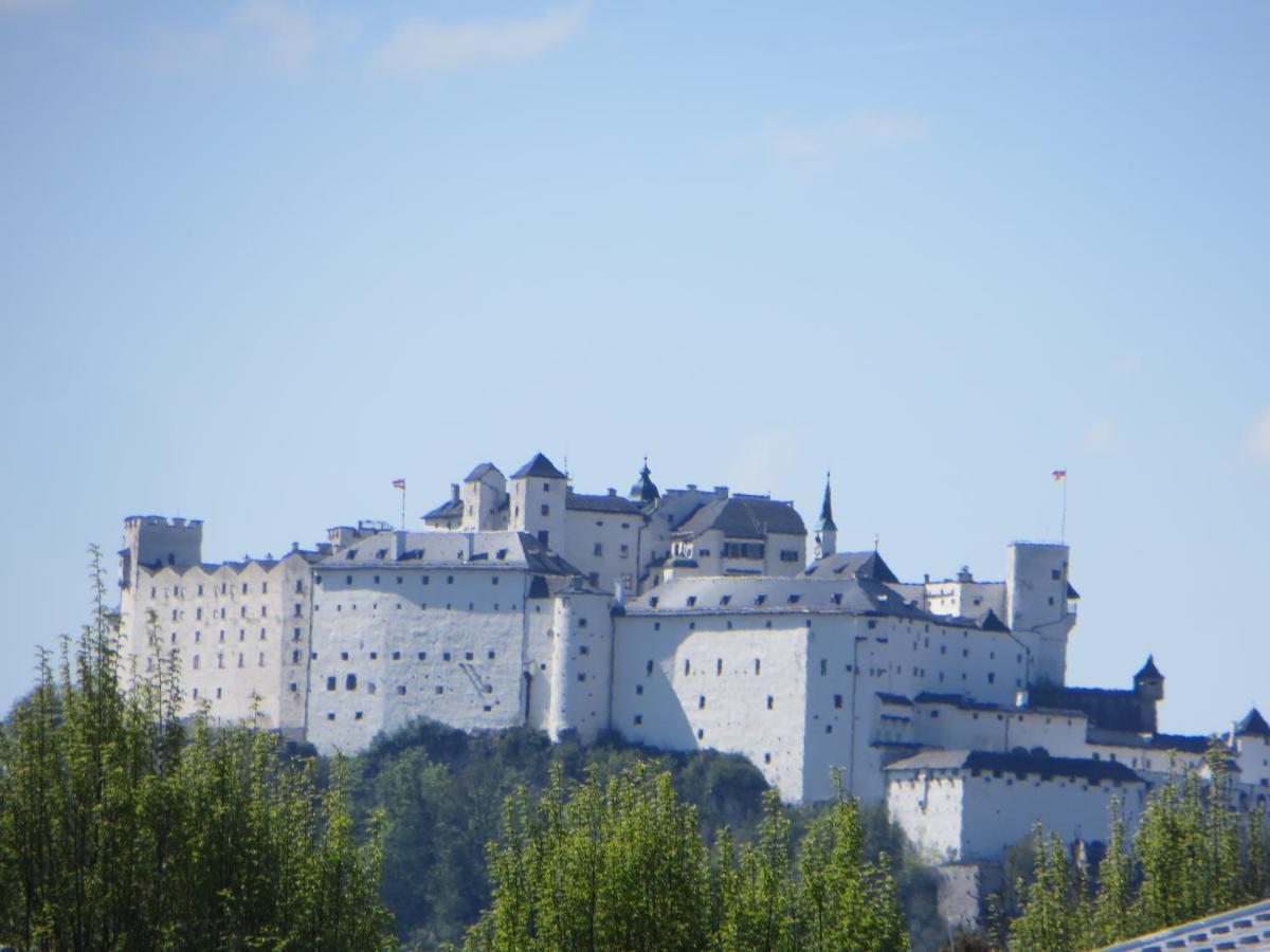 City Apartment Amadeus Salzburg Zewnętrze zdjęcie